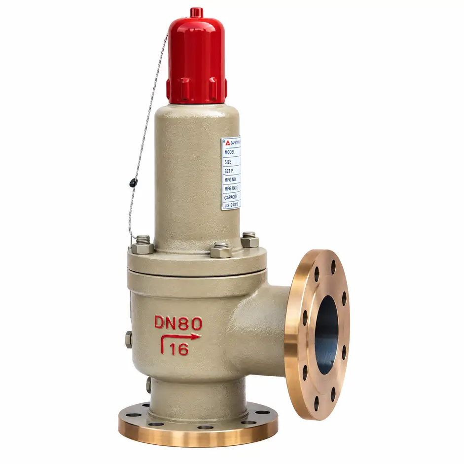 LPG Safety Valves