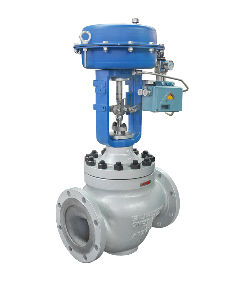 Cage Guided Control Valve